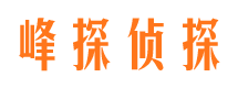 孝感峰探私家侦探公司